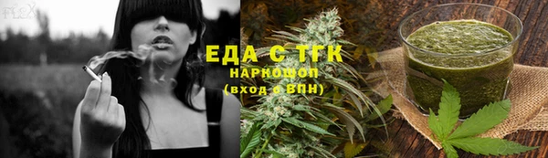 шишки Надым