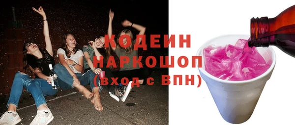 шишки Надым