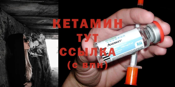 шишки Надым