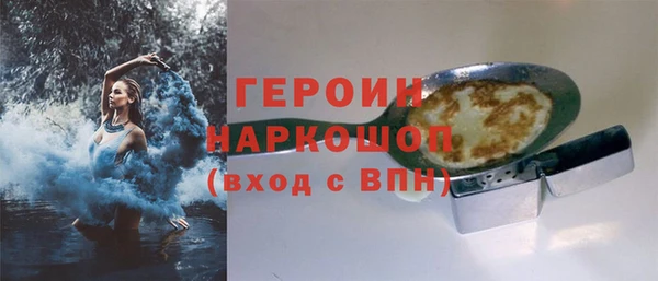 шишки Надым