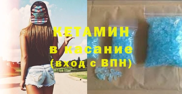 шишки Надым