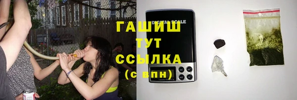 шишки Надым