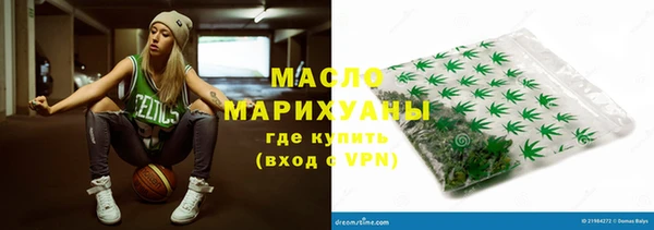 шишки Надым