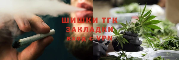 шишки Надым
