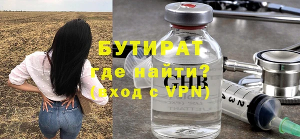 шишки Надым