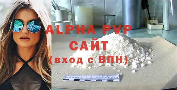 шишки Надым