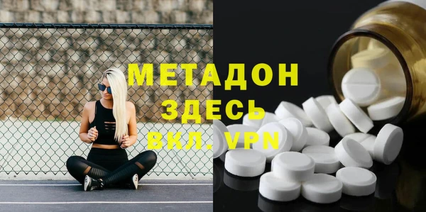 шишки Надым