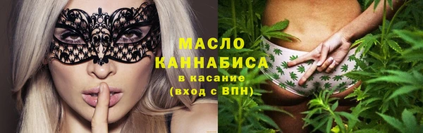 шишки Надым