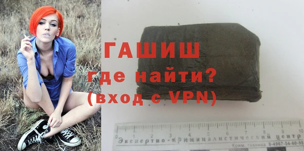 шишки Надым