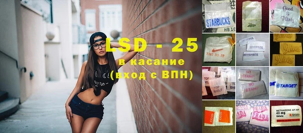 шишки Надым