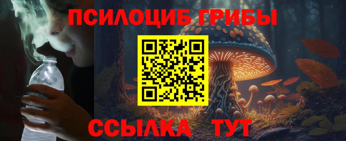 Галлюциногенные грибы Psilocybine cubensis  Тольятти 