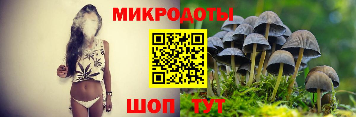 Псилоцибиновые грибы прущие грибы  Вход с VPN  Тольятти  Псилоцибиновые грибы мицелий 