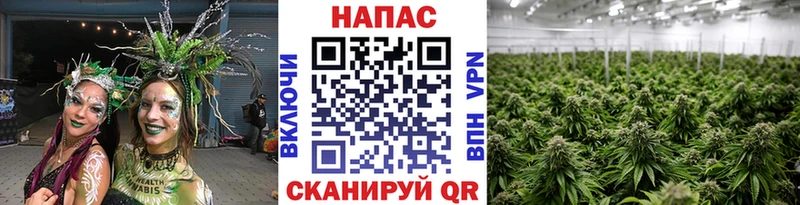 кракен вход  Тольятти  Шишки марихуана Bruce Banner 